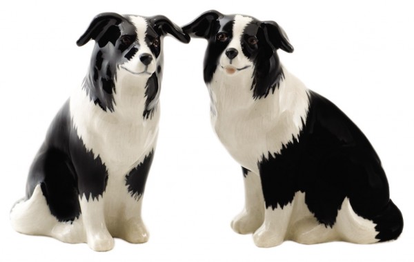 65831--Salz+Pfeffer Border Collie